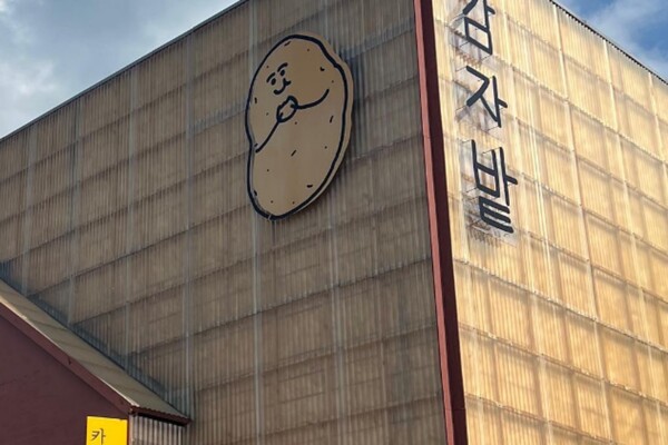 춘천 여행코스