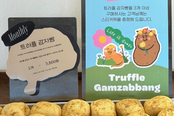 춘천 여행코스